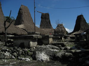 west-sumba-village